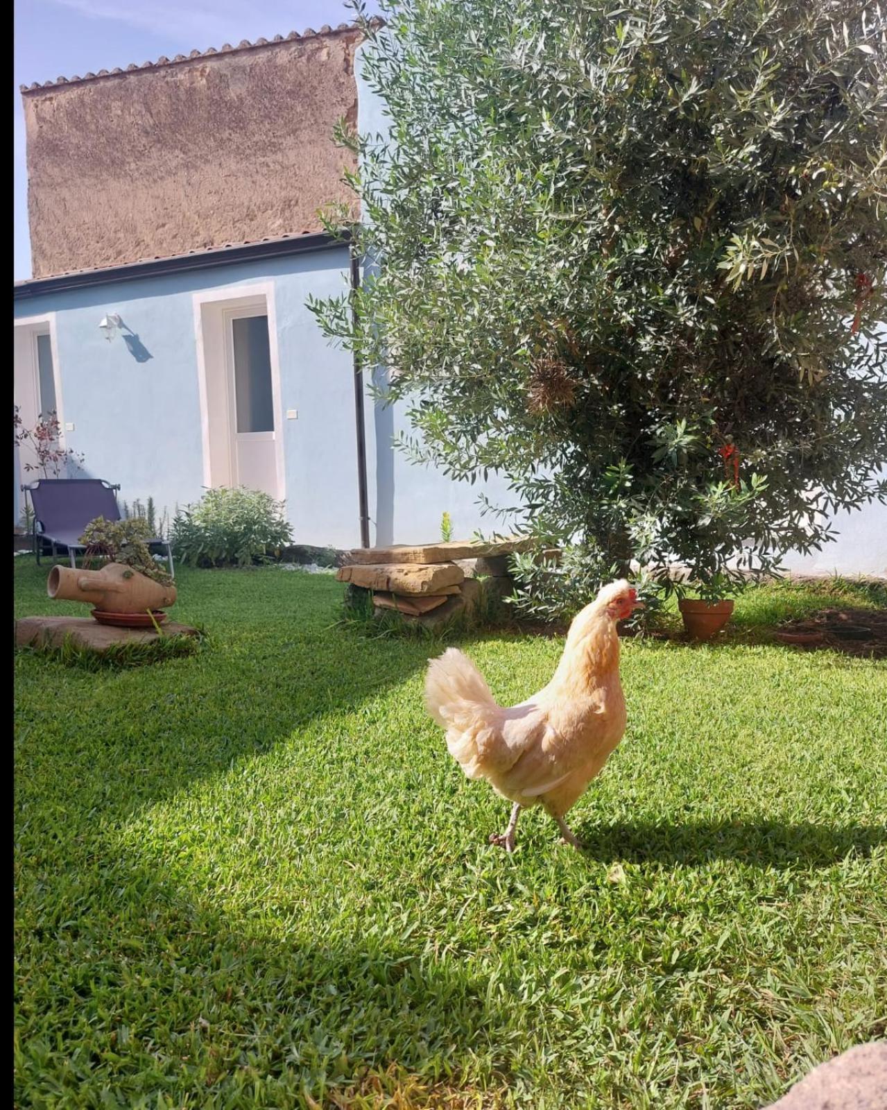 B&B Il Borgo Delle Emozioni Dolianova Kültér fotó